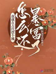 《我就在古代摆个摊，怎么还暴富了》小说封面