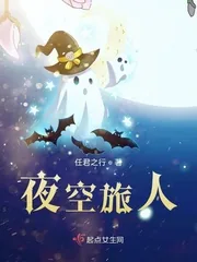 《夜空旅人》小说封面