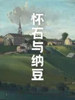 《怀石与纳豆》小说封面