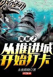 《海贼王之从推进城开始打卡》小说封面