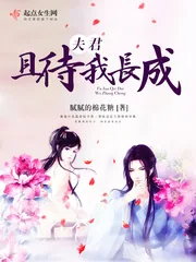 《夫君，且待我长成》小说封面