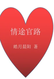 《情途官路》小说封面