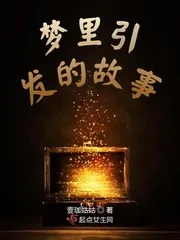 《梦里引发的故事》小说封面