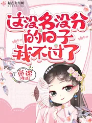 《这没名没分的日子我不过了》小说封面
