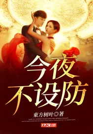 《今夜不设防》小说封面