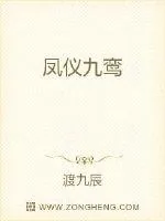 《凤仪九鸾》小说封面