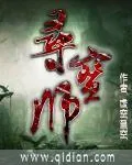 《寻宝师》小说封面