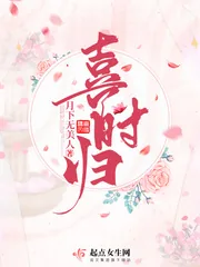 《喜时归》小说封面
