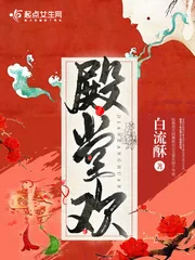 《殿堂欢》小说封面