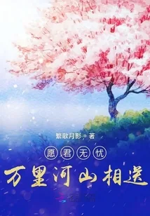 《愿君无忧：万里河山相送》小说封面