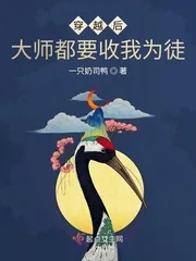 《穿越后大师都要收我为徒》小说封面