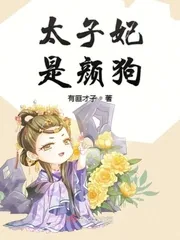 《太子妃是颜狗》小说封面