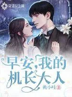 《早安，我的机长大人》小说封面