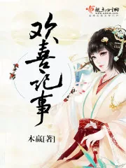 《欢喜记事》小说封面