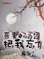 《吾妻又双叒叕把我忘了》小说封面