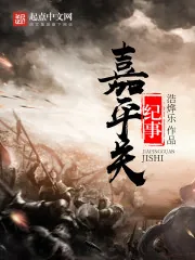 《嘉平关纪事》小说封面