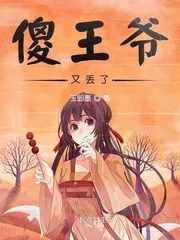 《傻王爷又丢了》小说封面
