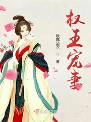 《权王宠妻》小说封面