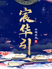 《宸华引》小说封面