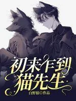《初来乍到猫先生》小说封面