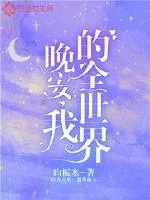 《晚安我的全世界》小说封面