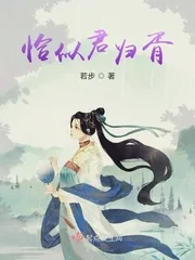 《恰似君归胥》小说封面