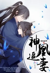 《神凰追妻》小说封面