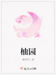 《柚园》小说封面