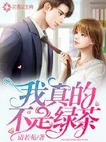《我真的不是绿茶》小说封面