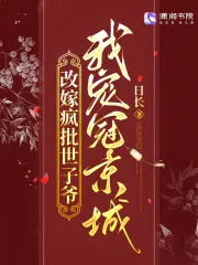 《改嫁疯批世子爷，我宠冠京城》小说封面