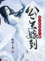 《公主嫁到：男主原是天上鹏》小说封面