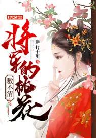《将军的桃花数不清》小说封面
