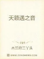 《天籁遇之音》小说封面