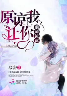《原谅我让你颠沛流离》小说封面