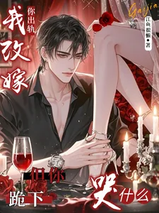 《你出轨我改嫁，但你跪下哭什么？》小说封面