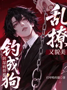 《他乱撩又貌美，阴湿病娇被钓成狗》小说封面