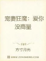 《宠妻狂魔：爱你没商量》小说封面