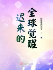 《迟来的全球觉醒》小说封面