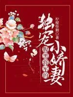《腹黑将军的独宠小娇妻》小说封面