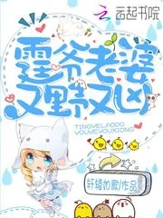 《霆爷老婆又野又凶》小说封面