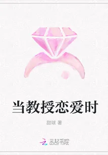 《当教授恋爱时》小说封面