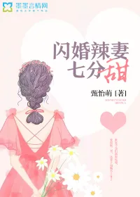 《闪婚辣妻七分甜》小说封面