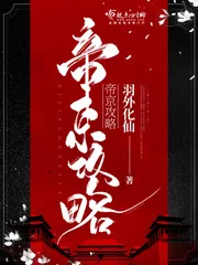 《帝京攻略》小说封面