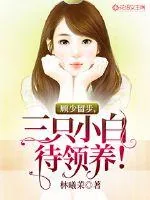 《顾少留步，三只小白待领养！》小说封面