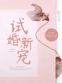 《试婚新宠》小说封面
