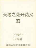《天域之花落花又开》小说封面