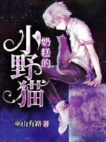 《爱豆每天都在撩猫》小说封面