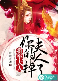 《将军大人，你的夫人掉了》小说封面