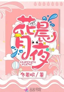 《花晨月夜》小说封面