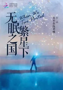 《无眠之国繁星下》小说封面